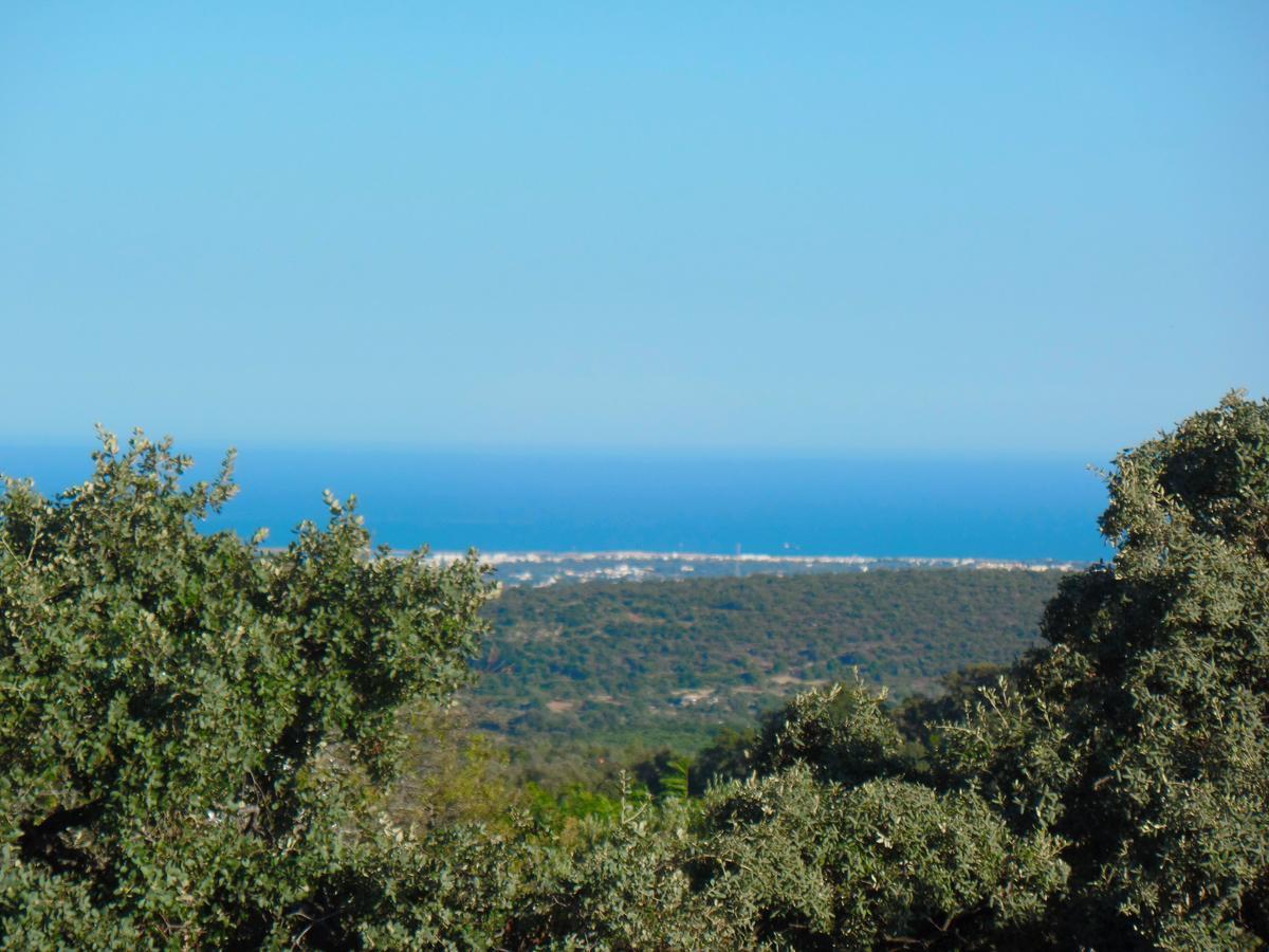 Panoramic Paradise São Brás de Alportel Exterior foto